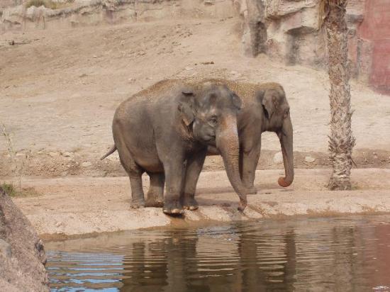 TERRA NATURA